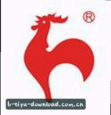 刘婷